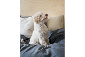 Påslakanset Dubbelsäng 3-Dels Percale - Blå - Textil & mattor - Sängkläder - Bäddset & påslakanset