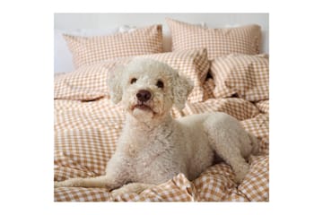 Påslakanset Enkelsäng 2-Dels Märta Ruta - Gul - Textil & mattor - Sängkläder