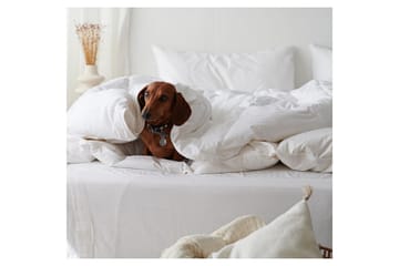 Täcke Hotelltäcke 150 x 200 cm - Standard - Textil & mattor - Sängkläder