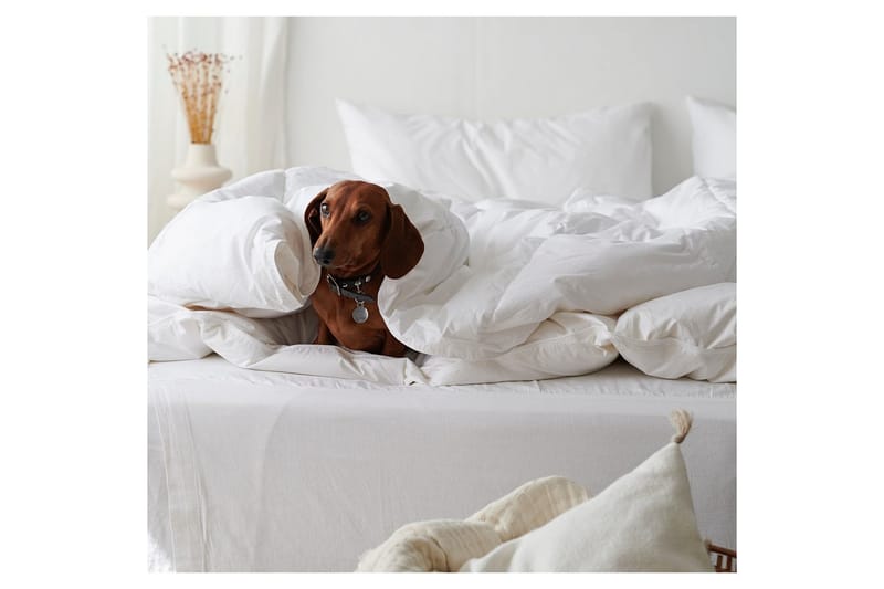 Täcke Hotelltäcke 220 x 210 cm - Franzén - Textil & mattor - Sängkläder