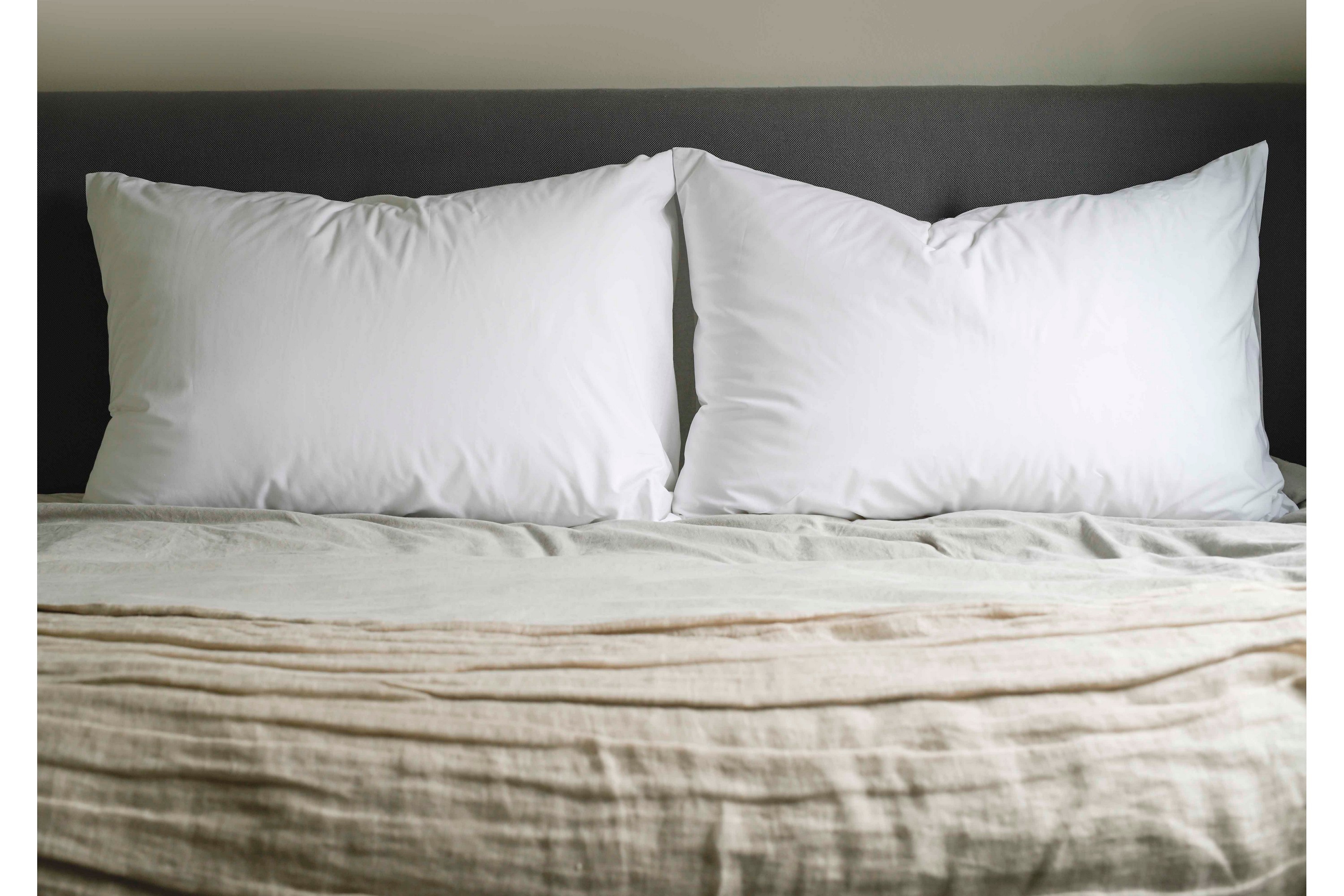 Hotellkudde 1150g 65x90 cm Vit Borganäs