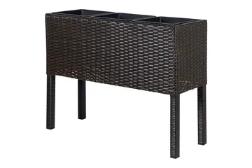 Inomhuskruka Caragana Brun - Brun - Utemöbler & utemiljö - Balkong & altan - Balkongodling