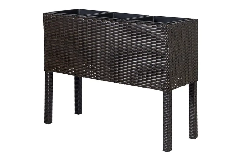 Inomhuskruka Caragana Brun - Brun - Utemöbler & utemiljö - Balkong & altan - Balkongodling