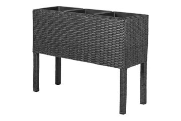 Inomhuskruka Caragana Svart - Svart - Utemöbler & utemiljö - Balkong & altan - Balkongodling