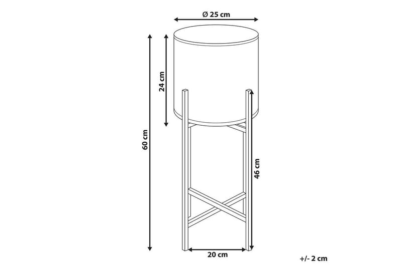 Inomhuskruka Fallopia - Utemöbler & utemiljö - Balkong & altan - Balkongodling