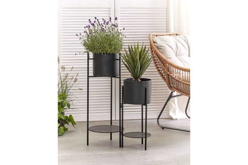 Inomhuskruka Ulmus - Utemöbler & utemiljö - Balkong & altan - Balkongodling