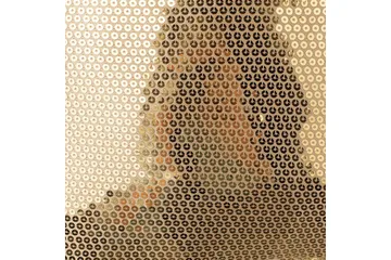 Prydnadskuddar Aster set om 2 Guld - Guld - Utemöbler & utemiljö - Dynor - Utomhuskuddar