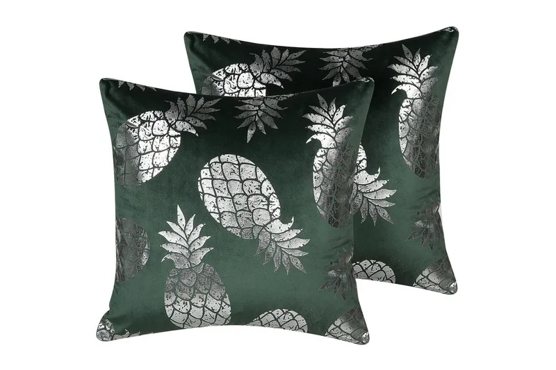 Prydnadskuddar Astilbe set om 2