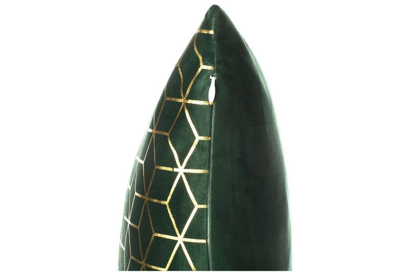 Prydnadskuddar Celosia set om 2 Grön/guld - Grön/guld - Utemöbler & utemiljö - Dynor - Utomhuskuddar