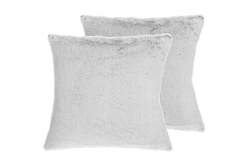 Prydnadskuddar Clematis set om 2