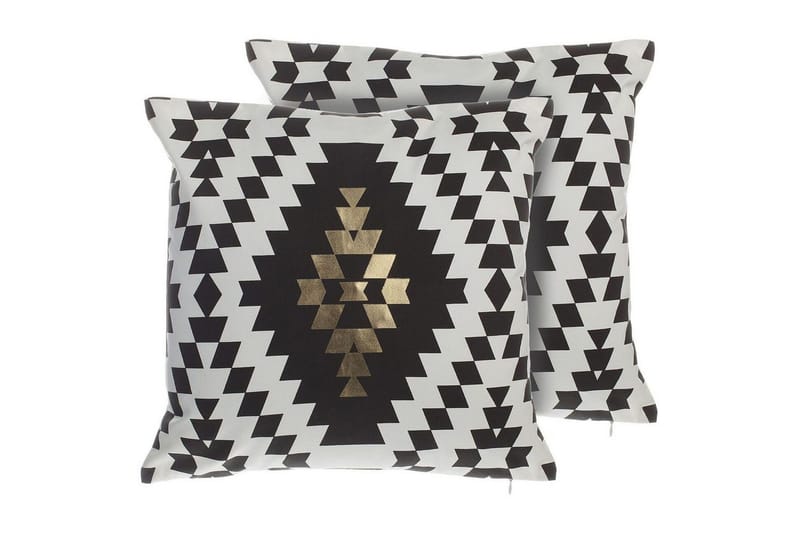 Prydnadskuddar Coleus set om 2