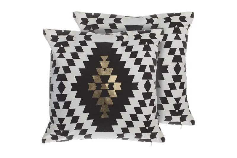 Prydnadskuddar Coleus set om 2