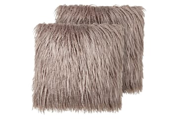 Prydnadskuddar Corokia set om 2 Beige