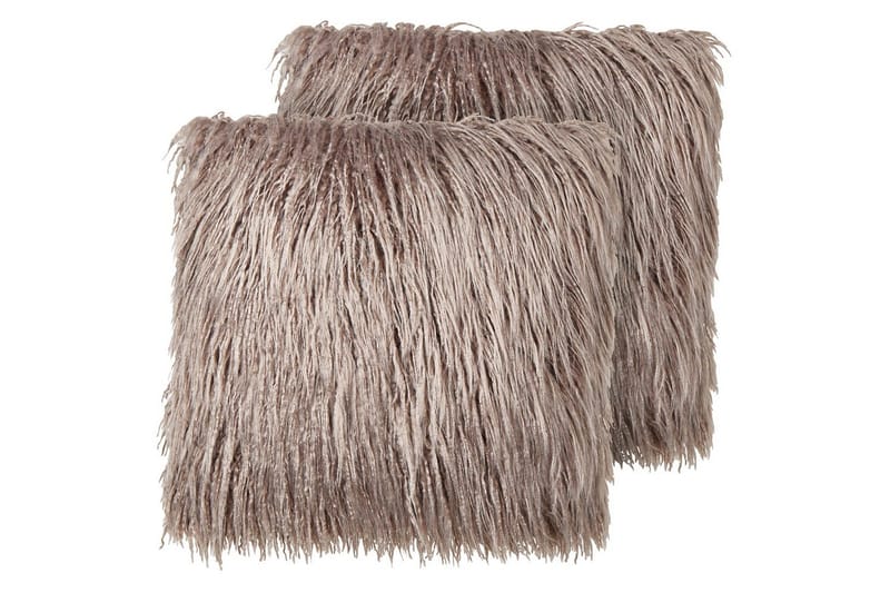 Prydnadskuddar Corokia set om 2 Beige, Beige