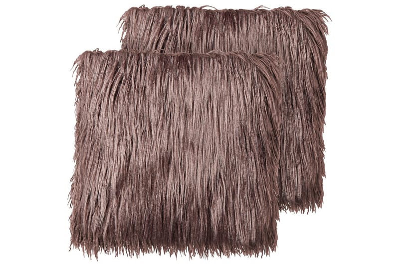 Prydnadskuddar Corokia set om 2 Brun, Brun