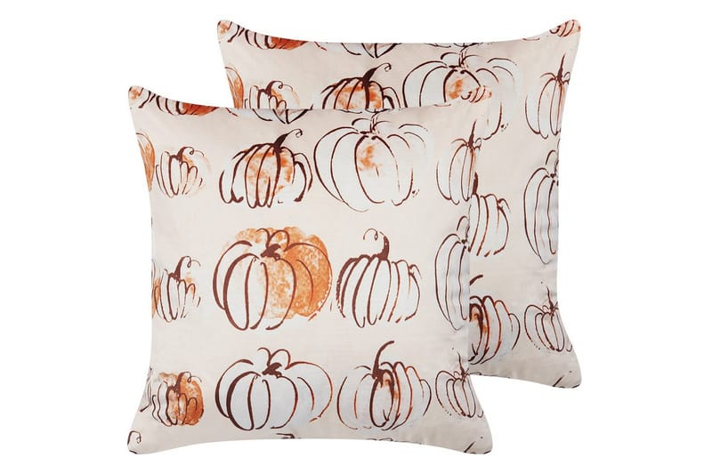 Prydnadskuddar Cucurbita set om 2