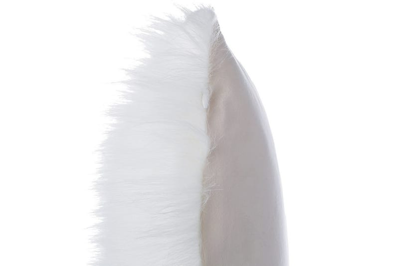 Prydnadskuddar Daisy set om 2 Beige - Beige - Textil & mattor - Kudde & kuddfodral - Prydnadskudde & soffkudde