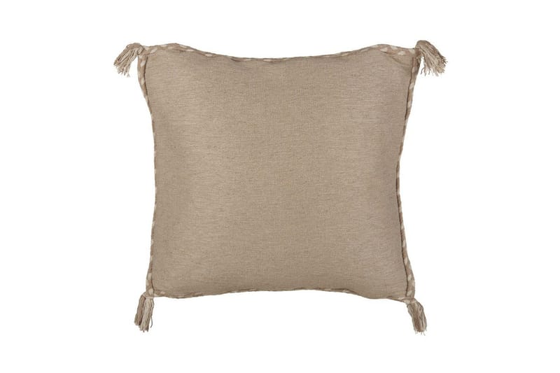 Prydnadskuddar Erigeron