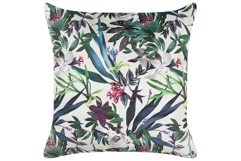 Prydnadskuddar Gasteria