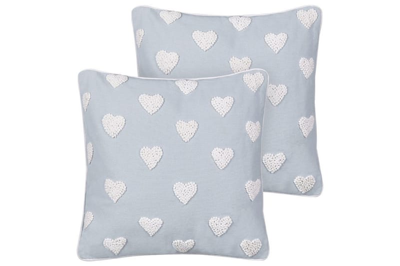 Prydnadskuddar Gazania set om 2 Grå/vit, Fyrkantig, Grå/vit, Fyrkantig