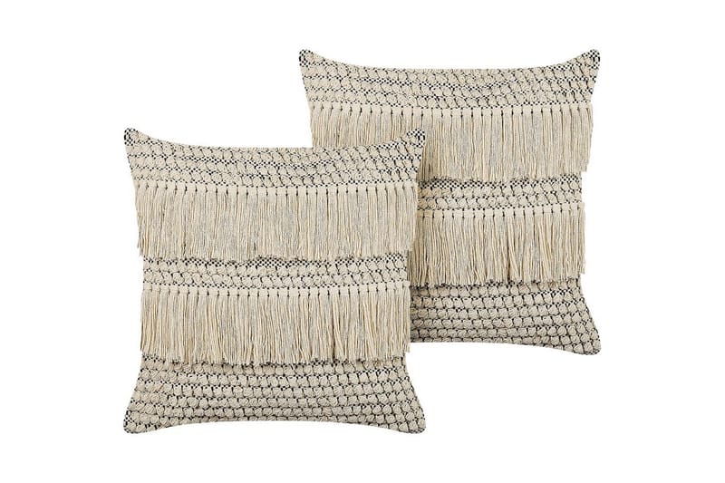 Prydnadskuddar Iresine set om 2