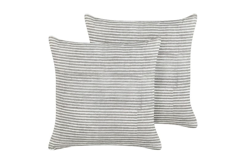 Prydnadskuddar Kanpas set om 2