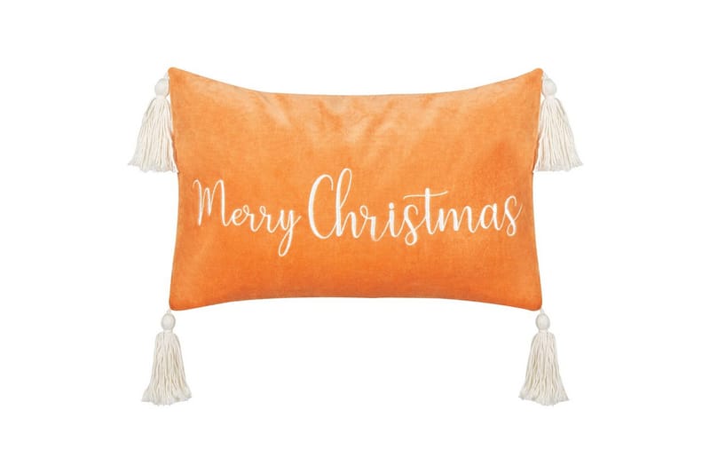 Prydnadskuddar Lithops