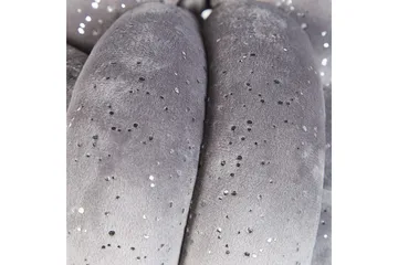 Prydnadskuddar Malni Grå, 20x20x20 cm - Grå, 20x20x20 cm - Textil & mattor - Kudde & kuddfodral - Prydnadskudde & soffkudde