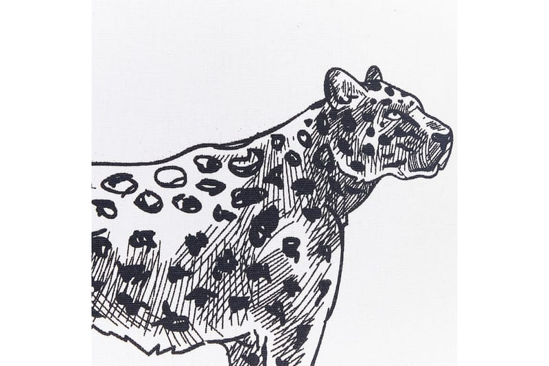 Prydnadskuddar Marula set om 2 Vit/Svart - Vit/Svart - Utemöbler & utemiljö - Dynor - Utomhuskuddar