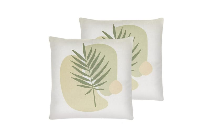 Prydnadskuddar Microsorum set om 2