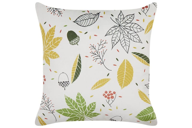 Prydnadskuddar Mullein