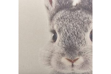 Prydnadskuddar Quercus set om 2 - Utemöbler & utemiljö - Dynor - Utomhuskuddar