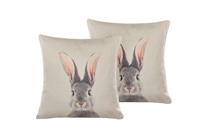 Prydnadskuddar Quercus set om 2