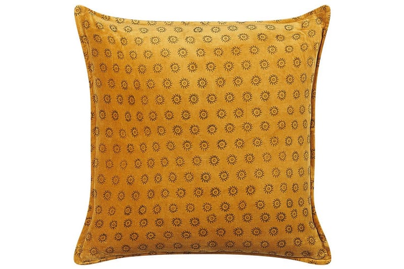 Prydnadskuddar Rapis