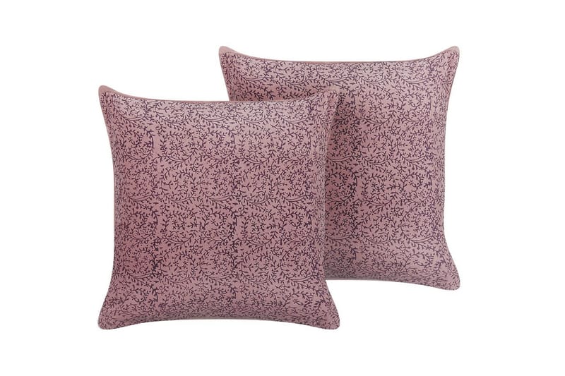 Prydnadskuddar Romneya set om 2