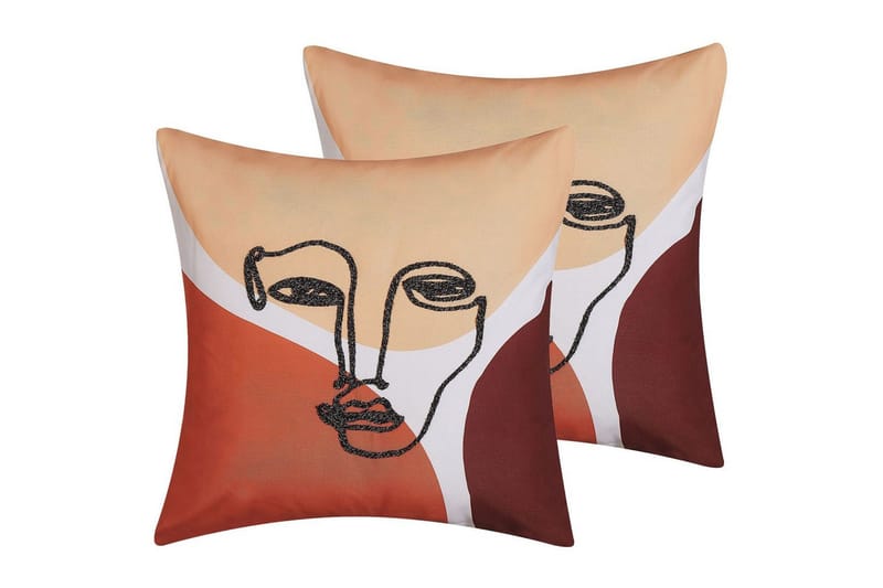 Prydnadskuddar Rudbekia set om 2