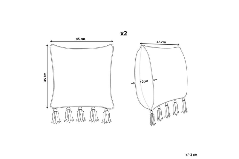Prydnadskuddar Sambucus set om 2 - Textil & mattor - Kudde & kuddfodral - Prydnadskudde & soffkudde