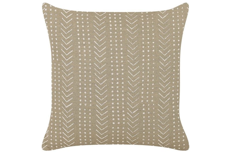 Prydnadskuddar Senecio