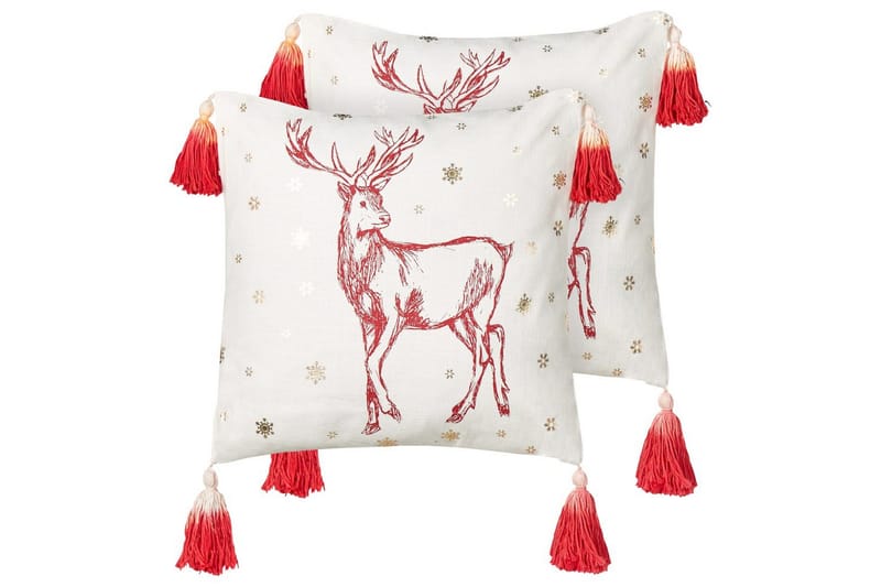 Prydnadskuddar Vallota set om 2