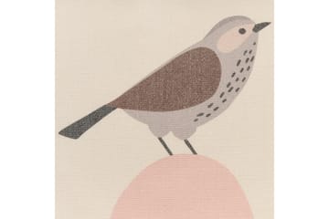 Prydnadskuddar Wattle - Utemöbler & utemiljö - Dynor - Utomhuskuddar