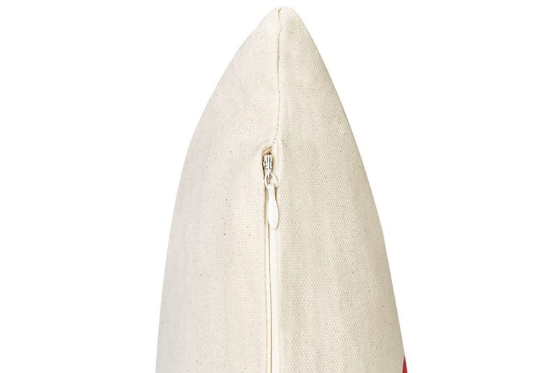 Prydnadskuddar Plumeria set om 2 - Utemöbler & utemiljö - Dynor - Utomhuskuddar