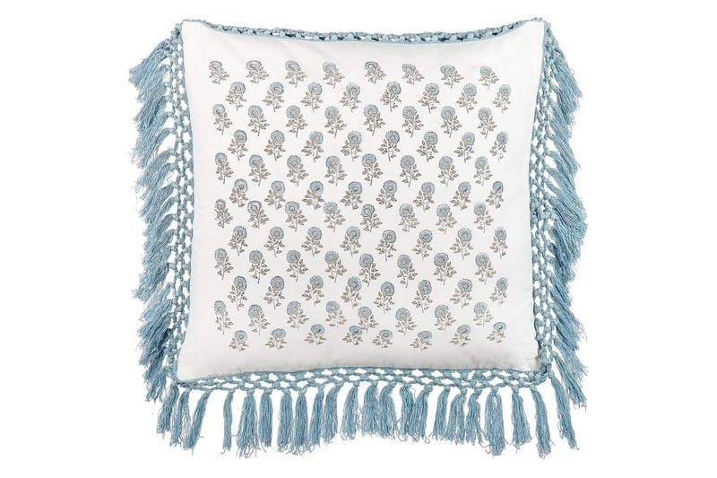 Prydnadskuddar Pallida