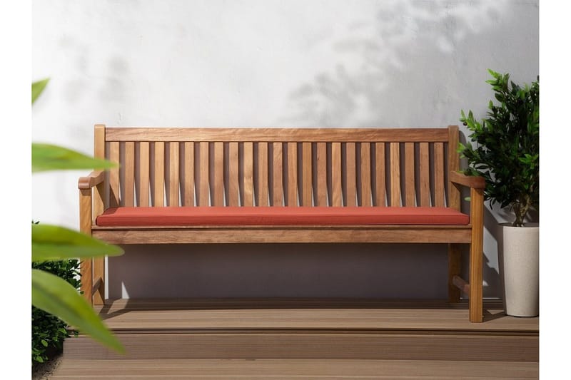 Java Dyna 50 cm, Röd