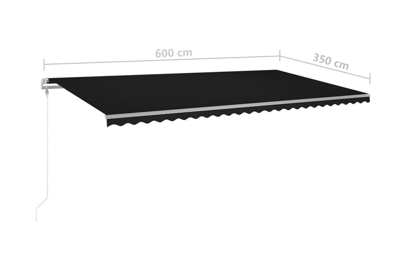 Automatisk markis med vindsensor & LED 600x350 cm antracit - Grå - Markiser - Terrassmarkis