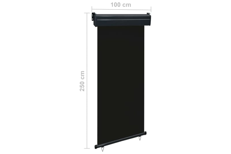 Balkongmarkis 100x250 cm svart - Svart - Markiser - Fönstermarkis