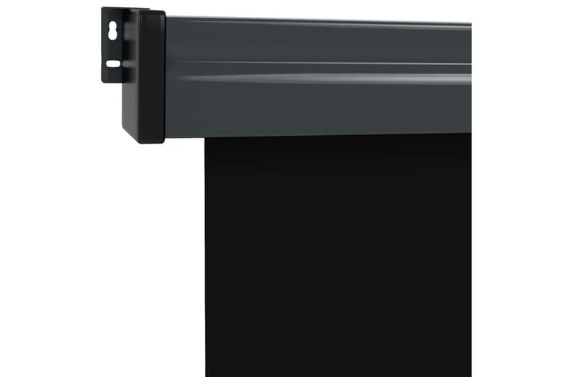 Balkongmarkis 170x250 cm svart - Svart - Sidomarkis - Markiser