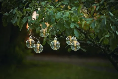 Chania Solcellsslinga 245 cm - transparent - Utemöbler & utemiljö - Trädgårdsdekoration & utemiljö - Trädgårdsbelysning