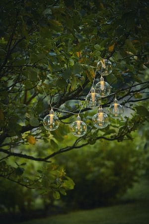 Chania Solcellsslinga 245 cm - transparent - Utemöbler & utemiljö - Trädgårdsdekoration & utemiljö - Trädgårdsbelysning