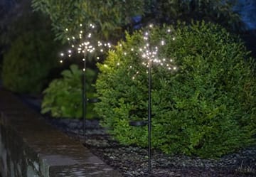 Firework Solar 2 pack Solcellsdekoration 60 cm - svart - Utemöbler & utemiljö - Trädgårdsdekoration & utemiljö - Trädgårdsbelysning