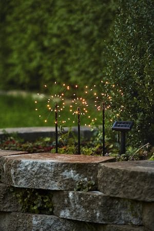 Firework Solar Solcellsdekoration 100 cm - svart - Utemöbler & utemiljö - Trädgårdsdekoration & utemiljö - Trädgårdsbelysning